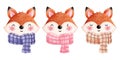 Set of happy foxes with autumn scarves clipart. Cute autumn animals head illustrations.Watercolor animals clipart Royalty Free Stock Photo