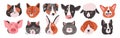 Set of happy funny domestic animals or farm pet. Different faces, muzzles, heads or avatars. Cats, dogs, sheep, cow, pig