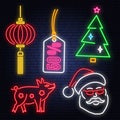 Set of Happy New Year 2019 neon sign with santa claus, pig, christmas tree, tag and Chinese lanterns.