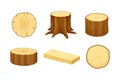 Set of hardwood timber materials. Tree trunks, logs, planks vector illustration Royalty Free Stock Photo