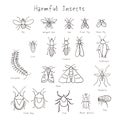 Set of harmful insects hand-drawin illustration