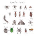 Set of harmful insects hand-drawin watercolor illustration