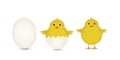 Set of hatched egg and cute Easter chick isolated on white. Royalty Free Stock Photo