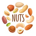 Set hazelnut, peanut, almond, cashew, pistachio. Vector realistic icon nut