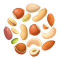 Set hazelnut, peanut, almond, cashew, pistachio. Vector realistic icon nut