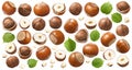 Set of hazelnuts, green leaves and small nut pieces isolated on white background. Collection #1-3 Royalty Free Stock Photo