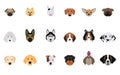 Set of Head Dogs Vectors and Icons Royalty Free Stock Photo