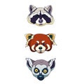 Set of heads Raccoon Red Panda and Lemur in Cartoon style vector wild animals on white isolated background concept of Nature