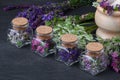 Set of healing herbs.Fresh thyme, sage, achillea, chicory and red clover herb in bottle. Alternative medicine concept on black