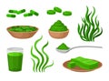 Set of funds from algae. Vector illustration on white background. Royalty Free Stock Photo