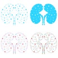 Set of healthy kidney internal organ low poly geometric model, dot line. Urology system medicine disease treatment. Future science