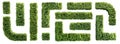 Set of hedge elements isolated on white background. Top view. 3D render. Royalty Free Stock Photo