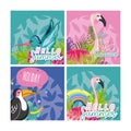 Set of hello summer birds