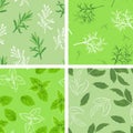 Set of herb seamless pattern. Vector cartoon color illustration of dill greenery, Basil leaves, Bay leaf and Tarragon Royalty Free Stock Photo