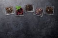 Set of herbal and fruit dry teas Royalty Free Stock Photo