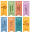 Set of 8 herbal labels on hand drawn sketch. Vertical banners with basil, chervil, rosemari,dill, sage, tarragon, majoran,thyme. Royalty Free Stock Photo