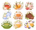 Set Of Herbal Tea Contains Various Natural Blends And Flavors, Ideal For Relaxation And Wellbeing, Vector Illustration Royalty Free Stock Photo
