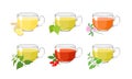 Set of herbal teas in glass cups. Vector cartoon illustration Royalty Free Stock Photo