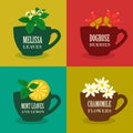 Set of Herbal teas. Vector