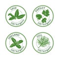 Set of herbs labels. 100 organic. Vector illustration