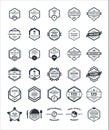 30 Set of Hexagon Vintage Hipster Badge Logo Design Template