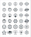 30 Set of Hexagon Vintage Hipster Badge Logo Design Template Vector Symbol