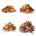 Set of a High Detailed Watercolor Element of Pile of Dead Leaf. Made with AI. Vector Illustration