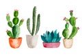 Set of high quality hand painted watercolor elements for your design with succulent plants, cactus and more. Royalty Free Stock Photo