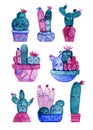 Set of high quality hand painted watercolor elements for your design with succulent plants,cactus and more. Royalty Free Stock Photo