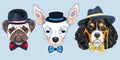 Vector Set of cartoon hipster dogs