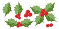 Set of Holly berry Christmas vector elements. Flat season decoration, winter plant fruits. Holiday illustration isolated on white Royalty Free Stock Photo