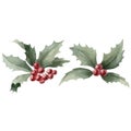 Set of 2 holly branches with red berries. Watercolor illustration isolated on white background for winter design Royalty Free Stock Photo