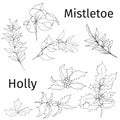 Set of holly and mistletoe. Black and white drawn vector illustration