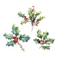 Set of Holly plant on transparent background