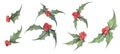 Set of Holly plant. Watercolor illustration. Christmas and New Year symbol decorative elements Royalty Free Stock Photo