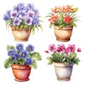 set of home flowers in pots, watercolor drawing