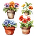 set of home flowers in pots, watercolor drawing