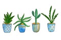 Set of home green plants and cacti watercolor illustration. Different types of various kinds of home cactus, palm tree in