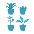 Set home or indoor plant on pot vector object element decoration for illustration project in blue scheme shading color