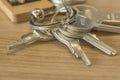 Set of home keys detailed Royalty Free Stock Photo