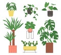 Set of home plants isolated on a white background. Collection of indoor plants in pots. Home decor. Vector illustration in flat