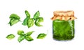 Set for homemade Basil Pesto in glass jar. Watercolor food collection