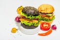 Set of homemade fish burgers. Fresh ingredients, ripe vegetables, fast food concept Royalty Free Stock Photo