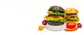 Set of homemade fish burgers. Fresh ingredients, ripe vegetables, fast food concept Royalty Free Stock Photo