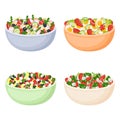 Set of homemade salads from fresh vegetables. Healthy food. Vagan and vegetarian meal. Vector illustration