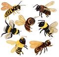 Set Honey bee, wasp, hornet, bumblebee from different angles on white background. Vector icon set