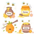 Set of honey concept elements. Collection of isolated illustrations for honey label, products, package design