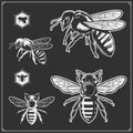 Set of honey emblems and design elements. Honeycombs, bee silhouettes.