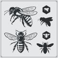 Set of honey emblems and design elements. Honeycombs, bee silhouettes. Royalty Free Stock Photo