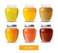 Set of honey jars, vector